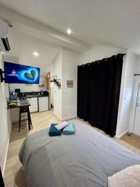 Tiny house de charme toute équipée